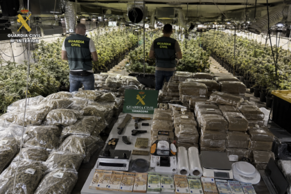Zabezpieczona plantacja marihuany [Zdjęcie wygenerowane w AI]